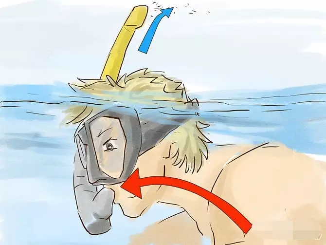 浮潜必须要知道的事,浮潜须知