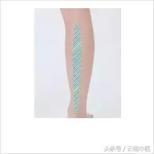 按摩小腿有助长高吗,按摩小腿能有效帮助什么呢