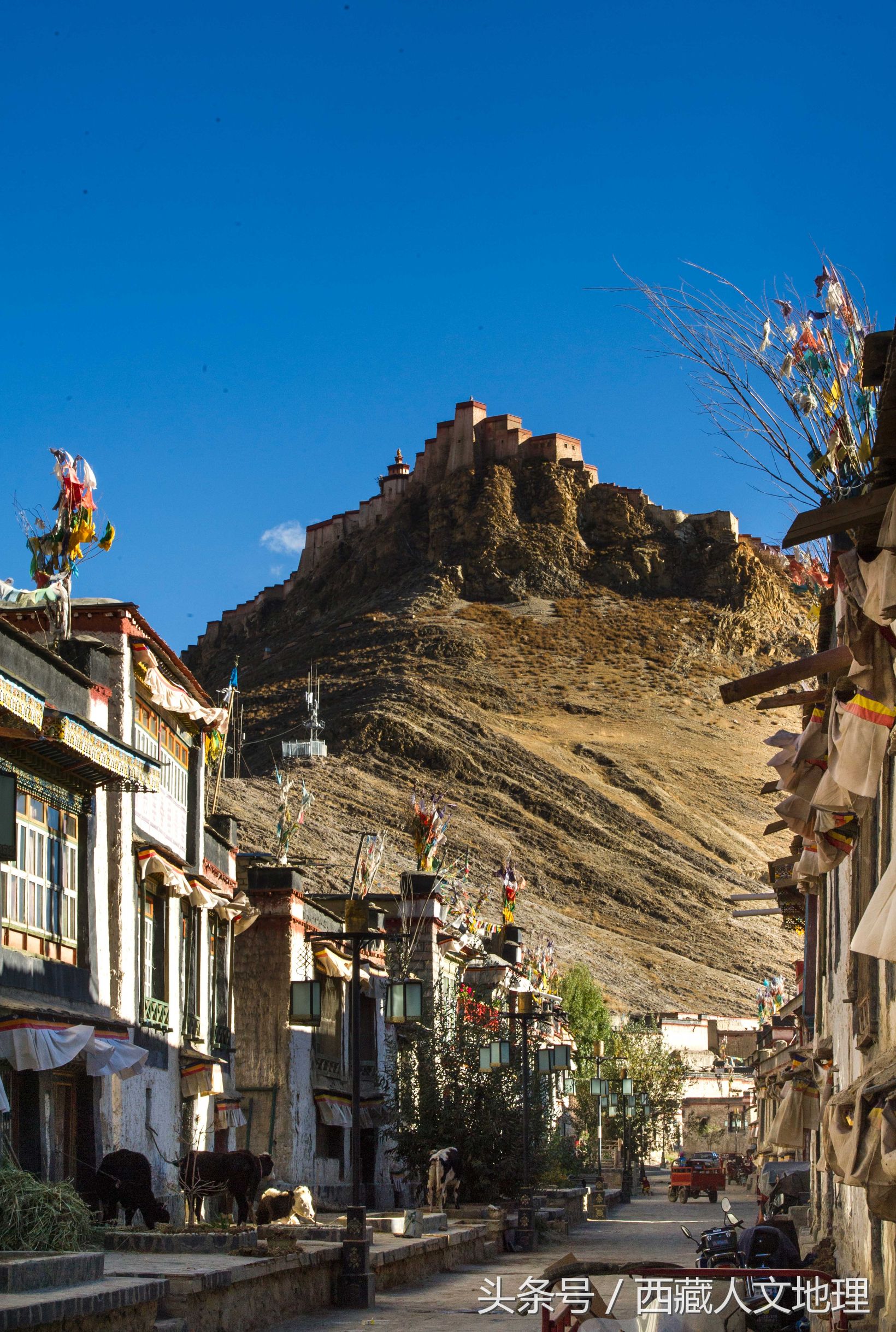 编织波斯地毯,编织西欧风情地毯