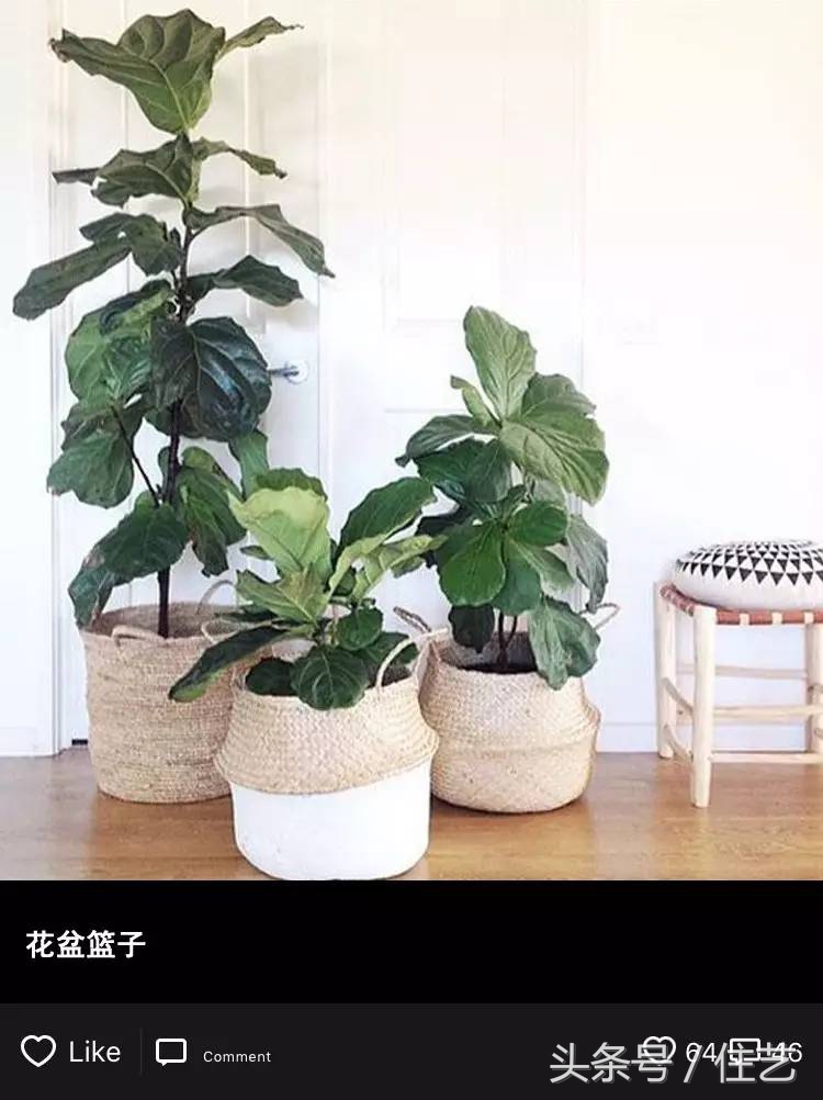 8款“美还不贵”单品推荐，让你家赢在细节｜设计师说