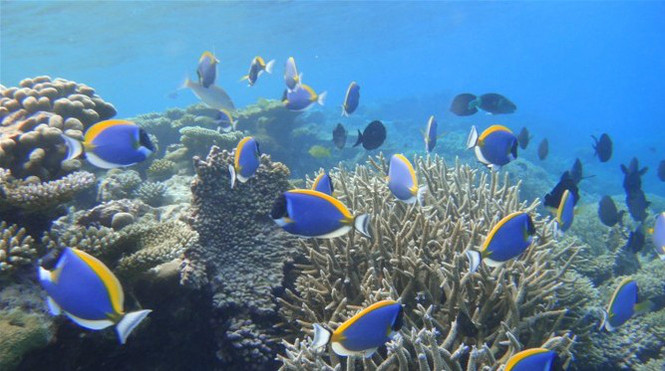 马尔代夫豪华蜜月游,马尔代夫六星级