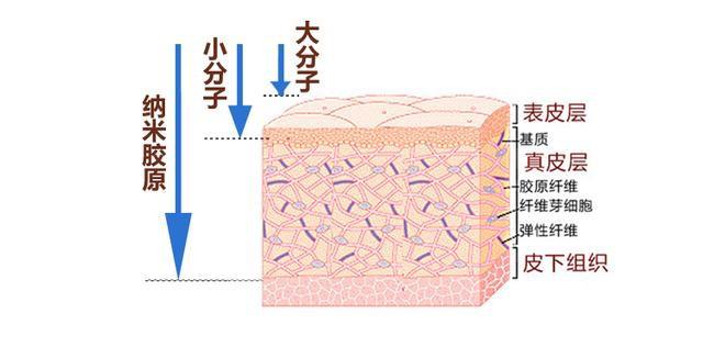法令纹深用埋线好还是超声刀好,超声刀去除法令纹多少钱
