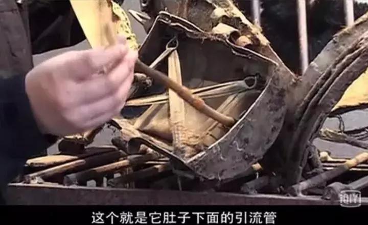 看了让人非常难受的高分电影,这辈子都不想看的电影