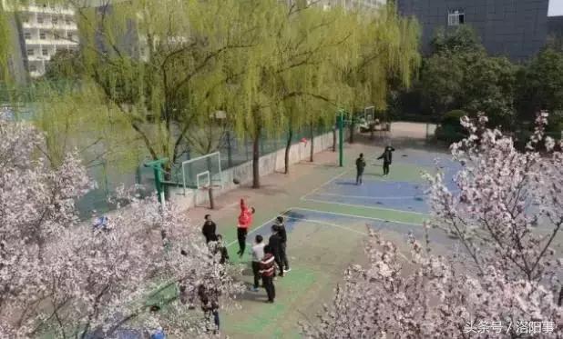 洛阳比较好的高中有哪些,洛阳优质高中有几所