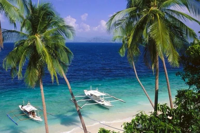 全家出游哪种旅行方式最合适,全家游怎么样游好