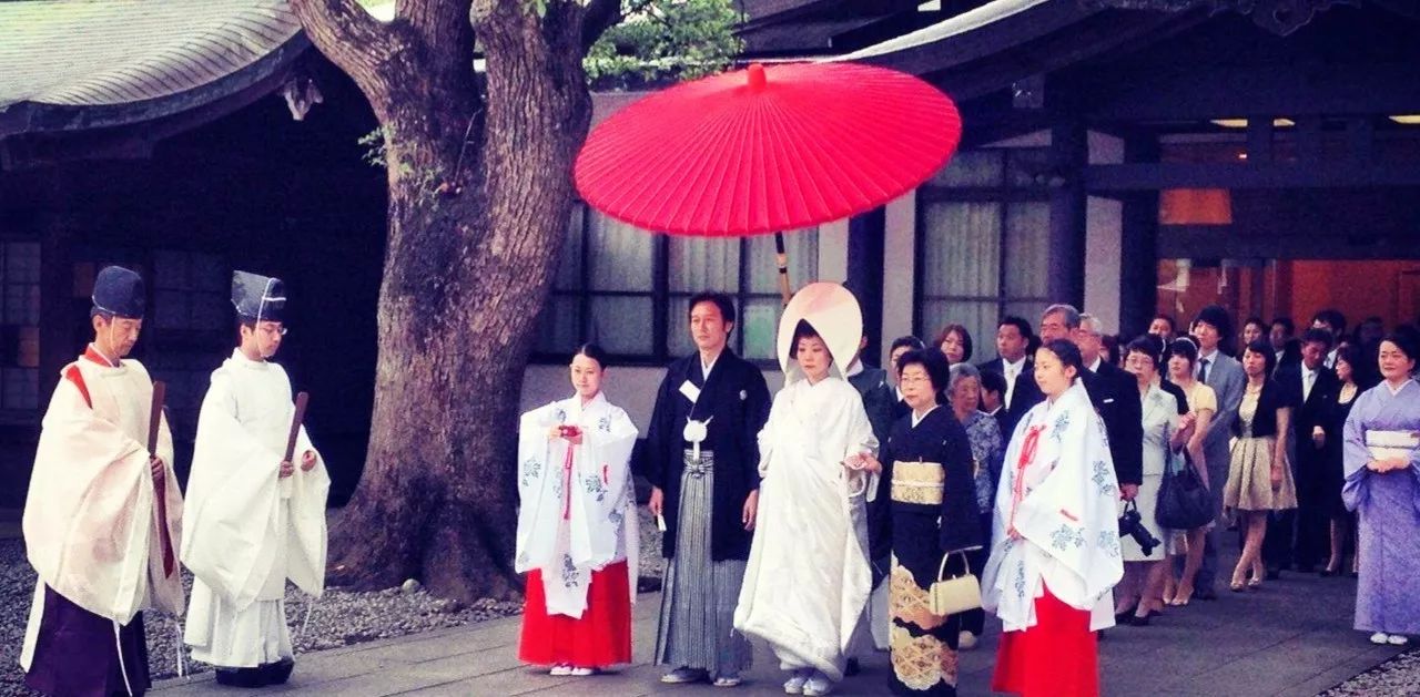 全家出游哪种旅行方式最合适,全家游怎么样游好