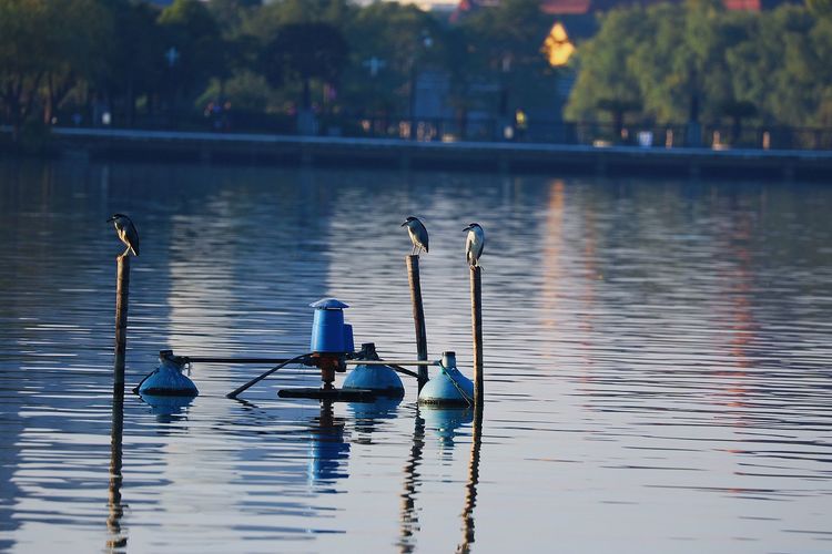 去东湖逛一圈,夏天去东湖哪个景区好玩