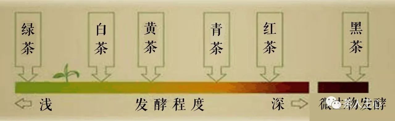 世界第一红茶消费国,全世界销量第一茶叶