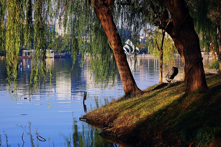 去东湖逛一圈,夏天去东湖哪个景区好玩