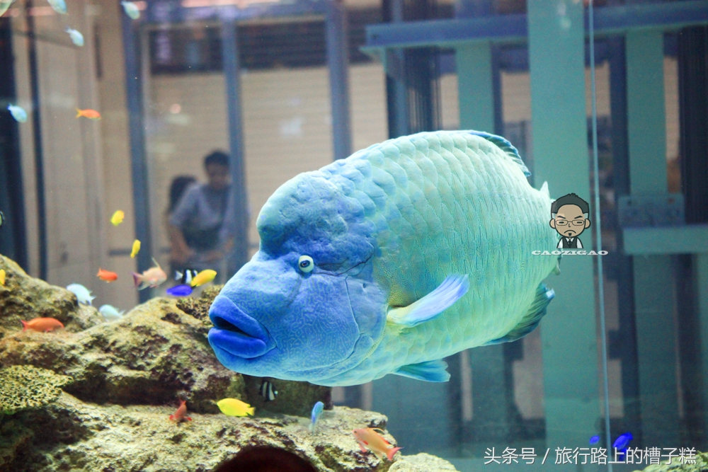 冲绳美国村购物中心 (冲绳永旺梦乐城)