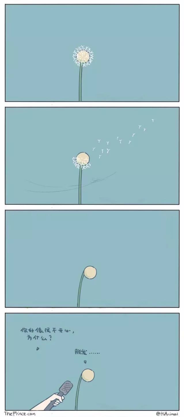 苍天好轮回掉发饶过谁,连富士山都秃了更何况人类!