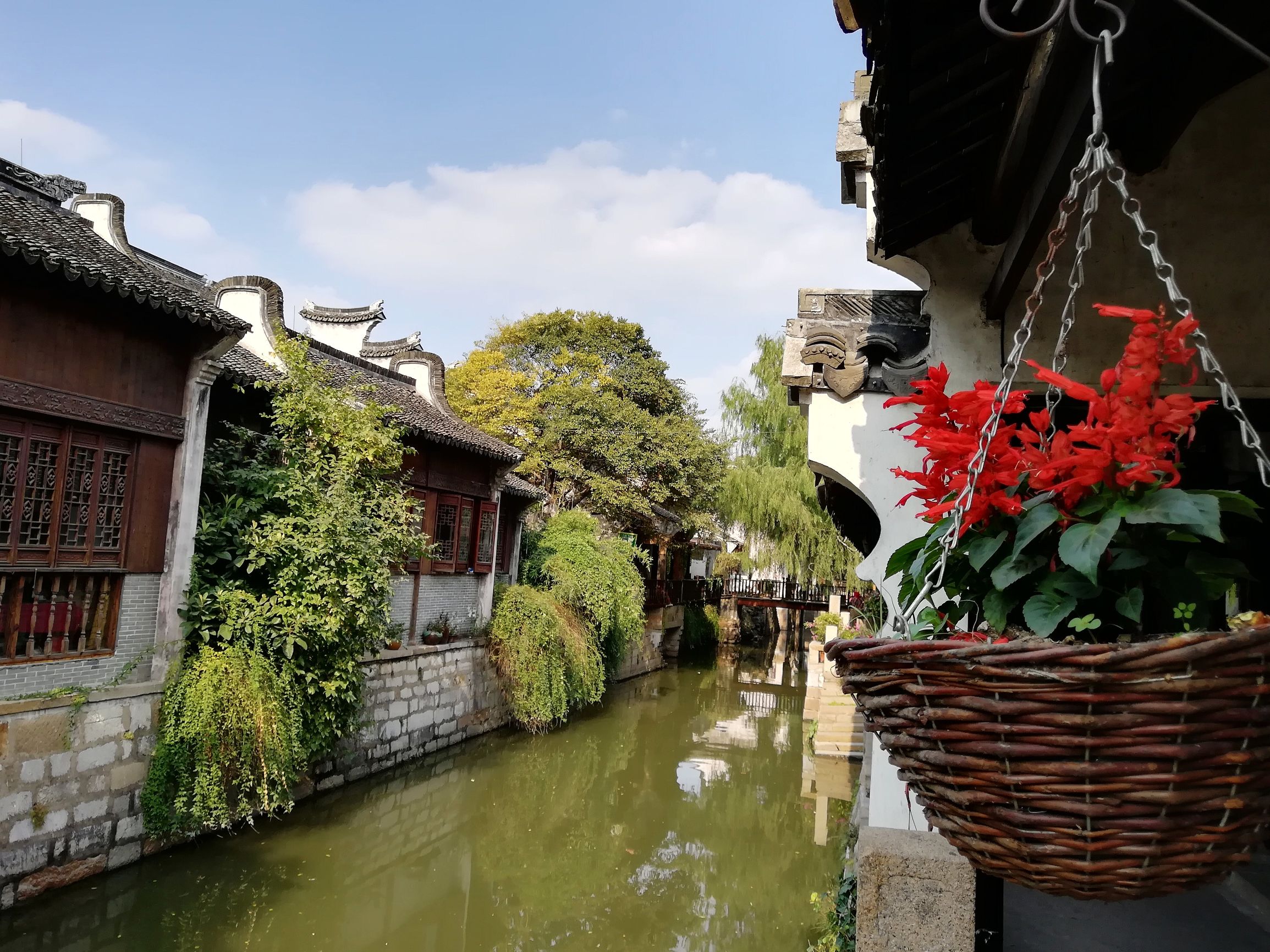 上海好玩地方推荐枫泾古镇,上海金山枫泾古镇地址