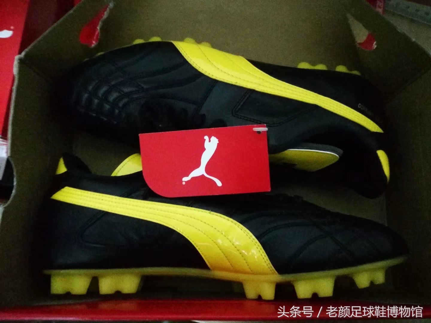 日本足球领先中国多少年，看看日系强货paramexico，你就有答案了