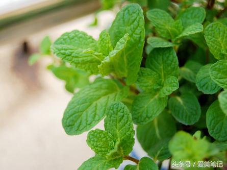 做完眼袋眼袋下面都是皱纹怎么办,有眼袋怎么消除眼袋黑眼圈皱纹