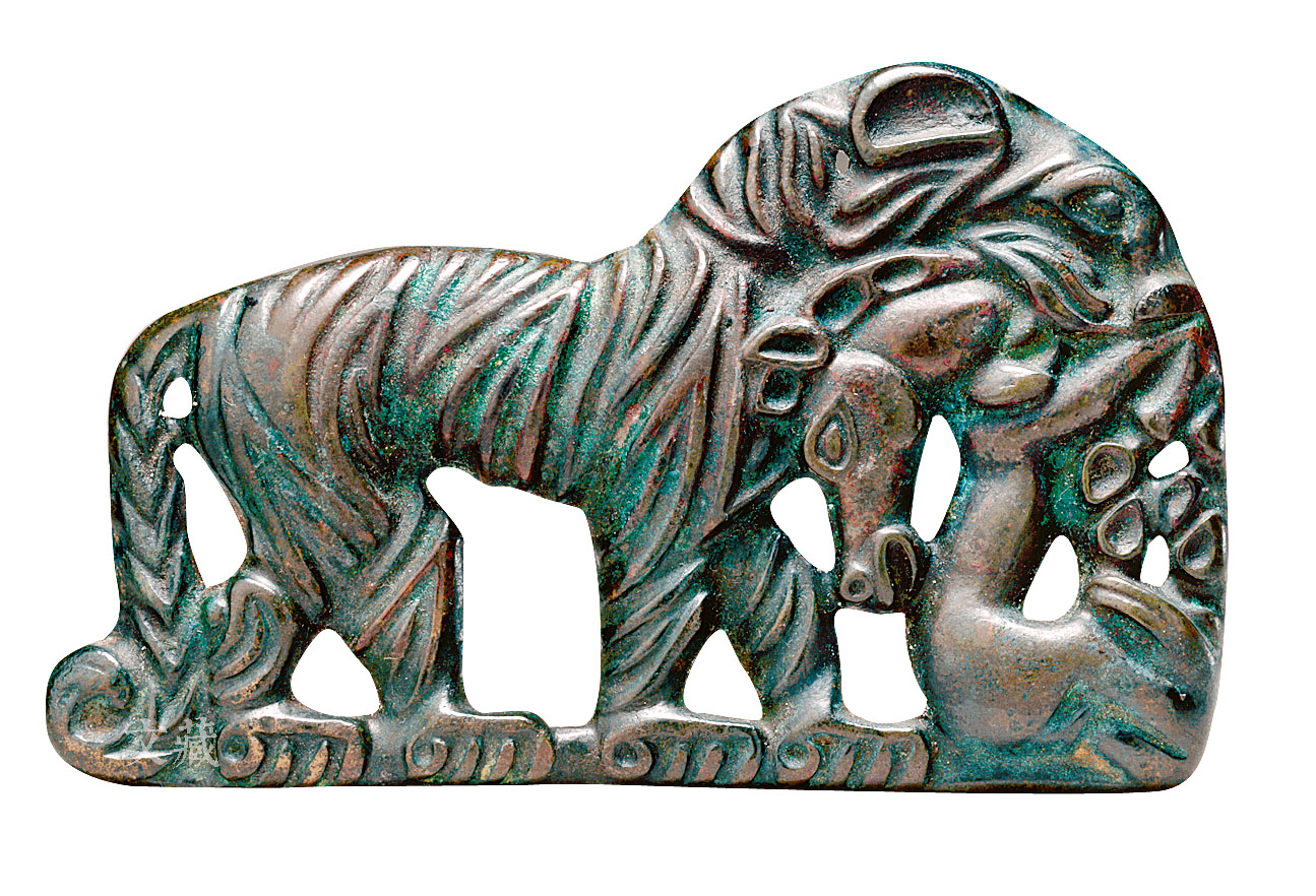 马进化,马进化了多少年