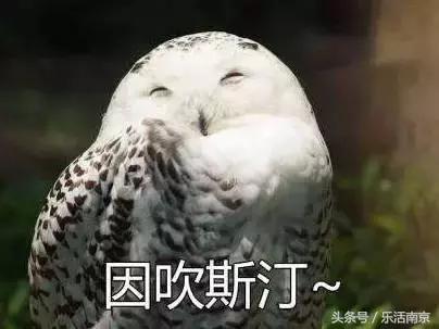 南京地铁一号线冷知识,南京地铁30个冷知识