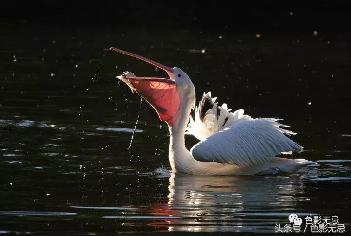 索尼黑卡rx10iv摄影尺寸,如何使用索尼黑卡rx10iv