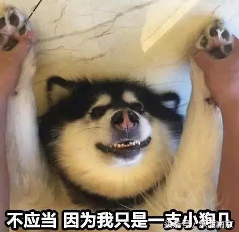 南京地铁一号线冷知识,南京地铁30个冷知识