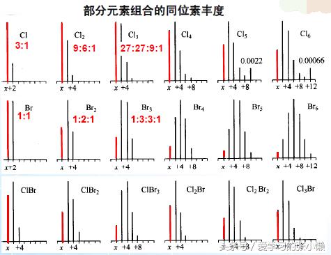 怎么确定质谱参考离子,同位素质谱分析