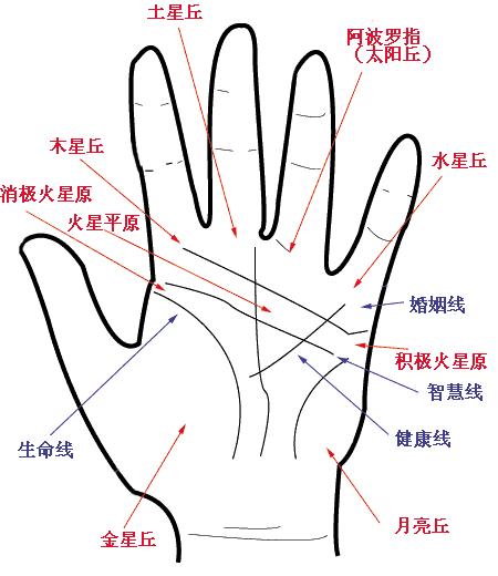 手纹能代表人的命运吗,手纹特别深代表命苦
