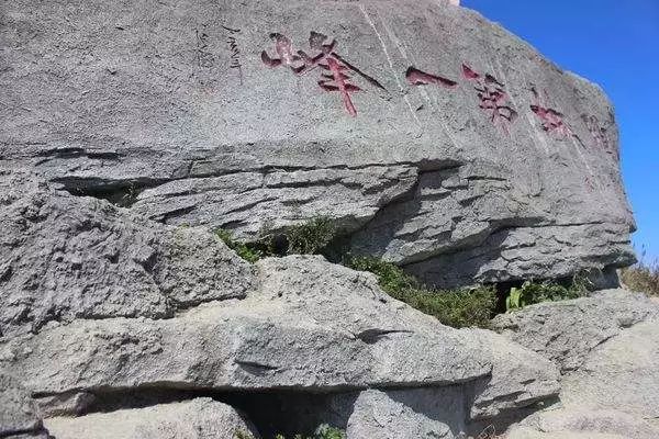 鹏城第一峰梧桐山海拔,鹏城第一峰梧桐山是大梧桐吗