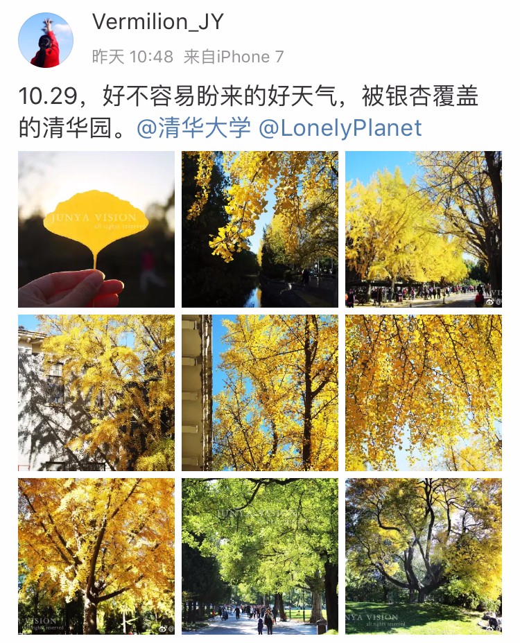 京城赏秋打卡胜地,京城赏荷最佳路线图