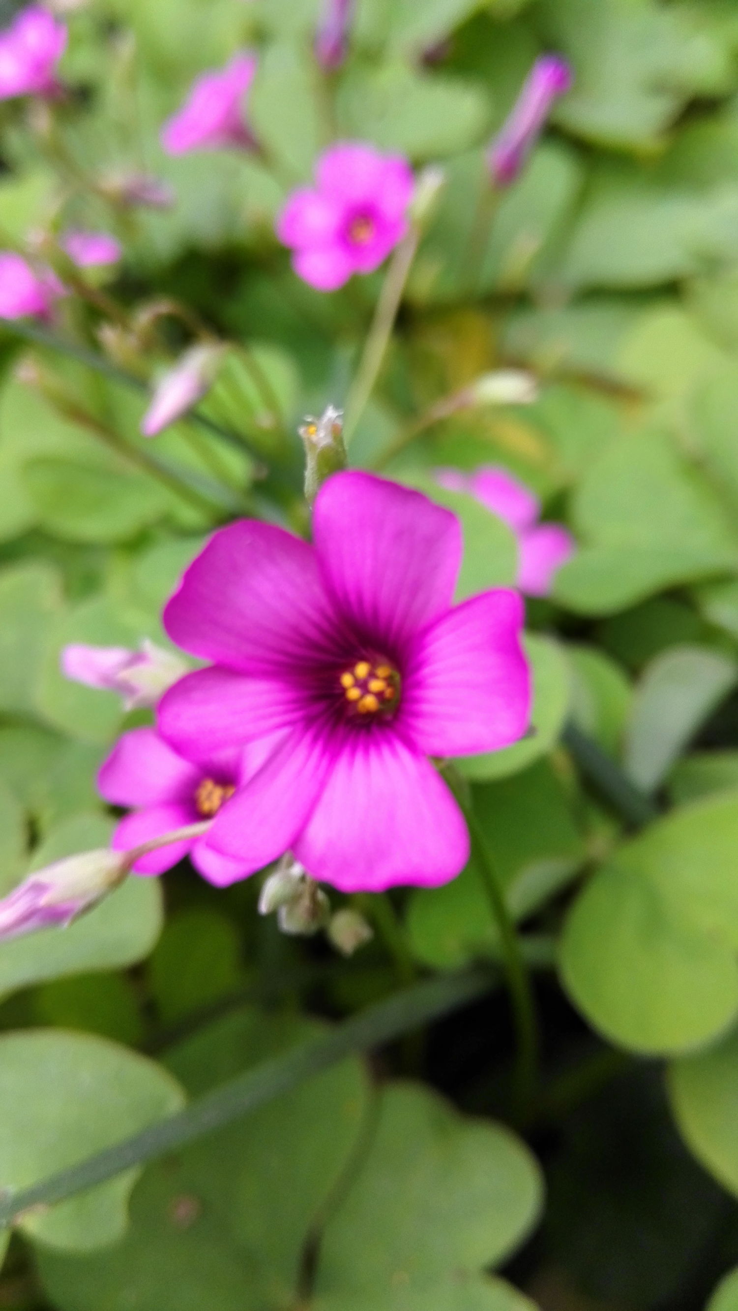 对联风俗,丧葬习俗及对联