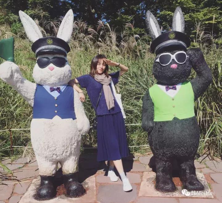 Trip丨如何在济州岛练就“济州瘫”（下部）