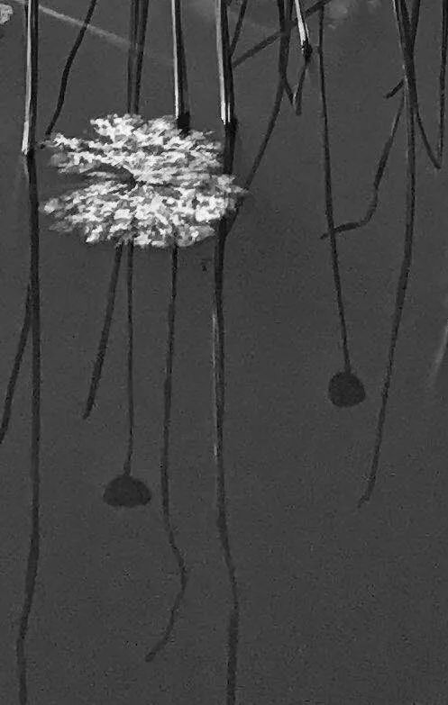 手机摄影作品也可以美不胜收,秋天手机摄影作品欣赏