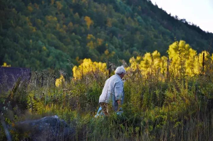坐火车穿越俄罗斯西伯利亚,欧洲火车途经小镇