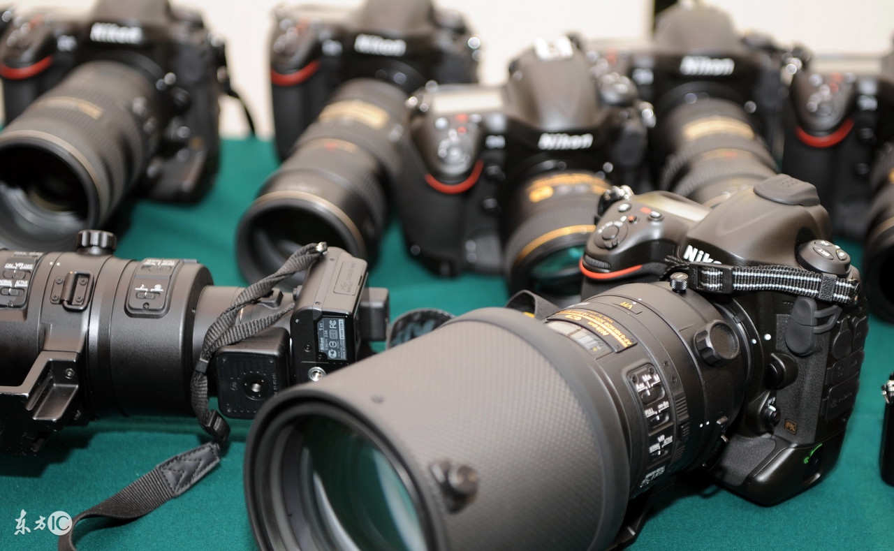 尼康d850和d810怎么选择,尼康d810与d850哪个更值得入手