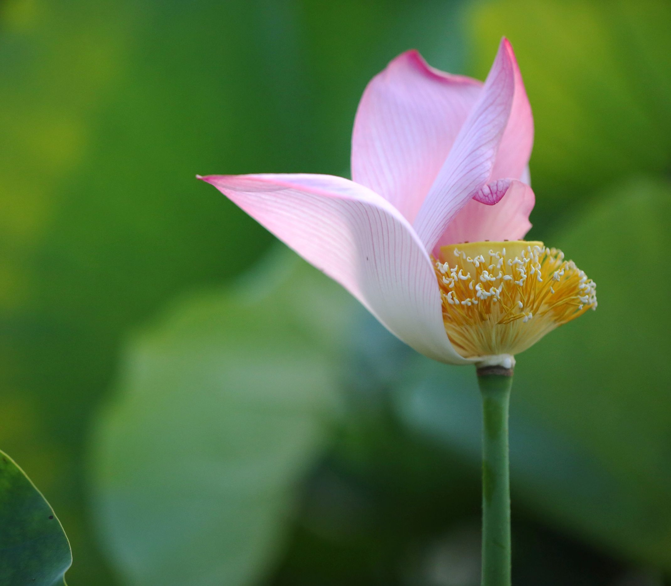 微信朋友圈相册图片封面简单干净,朋友圈20张图片拼图