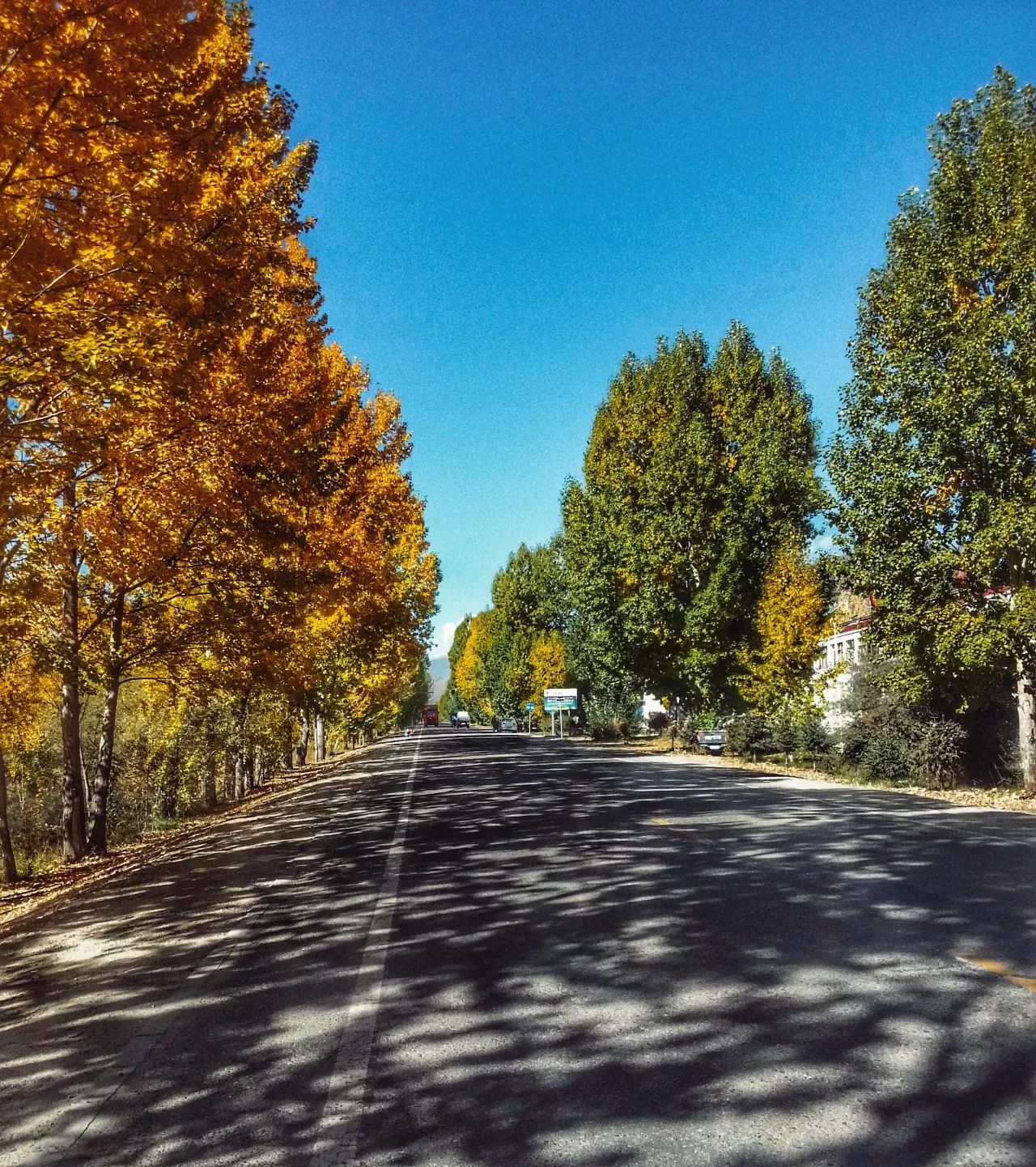 手机摄影作品也可以美不胜收,秋天手机摄影作品欣赏