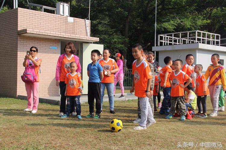 儿童足球队雄鹰,小小足球运动员早教课