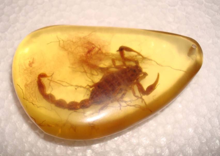 揭秘假琥珀,揭露市场上一些假琥珀蜜蜡