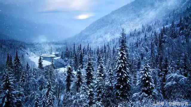 如何在暴风雪中生存,下雪天挡雪的方法