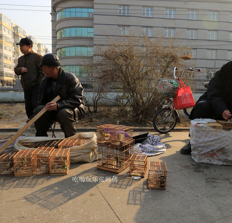 哈尔滨市畜牧交易市场,哈尔滨动物市场
