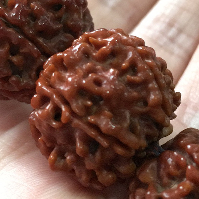 这才是金刚菩提最顶级的玩法,金刚菩提怎么盘玩效率最高