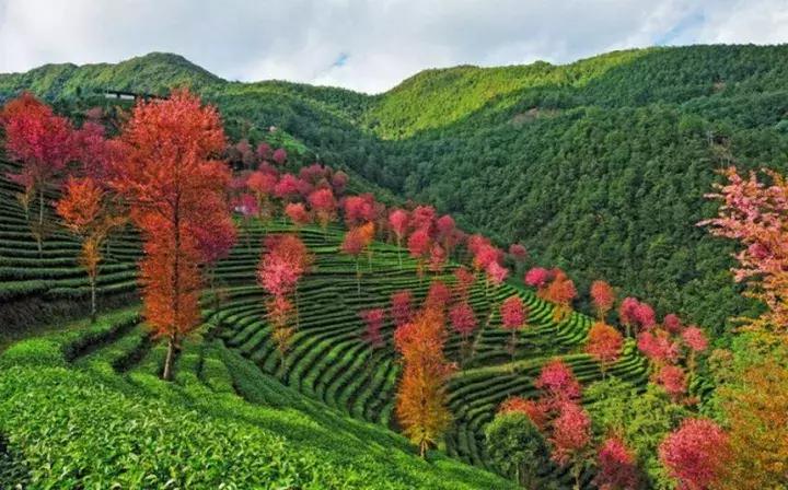 大理没有商业化的旅游景点,大理没被发现的景点