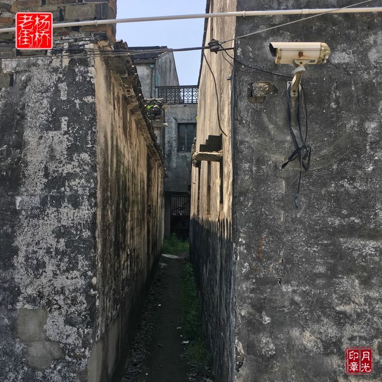 秀丽的江南水乡,这里是一座美丽幽静的江南古镇