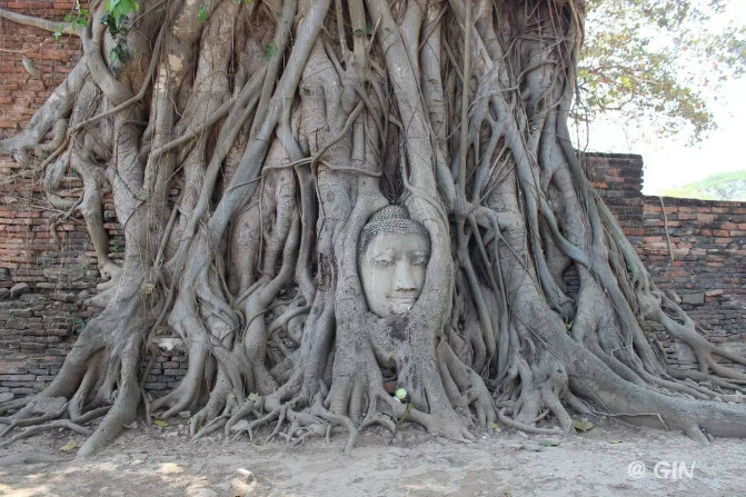 2016年2月泰国普吉-曼谷8天自由行(不走大众景点)·纯干货