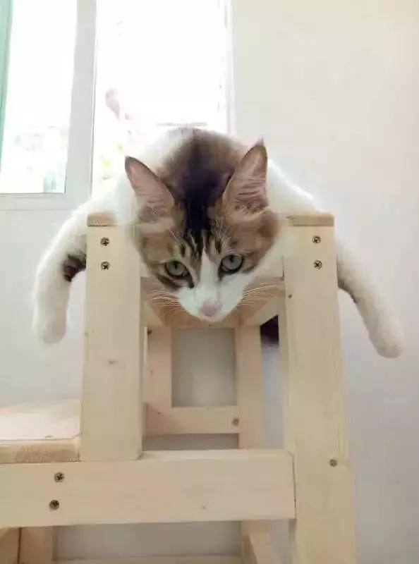 手机拍照修图惊艳瞬间,手机拍摄的好看照片