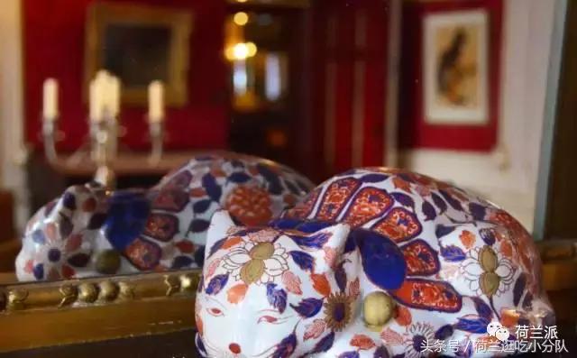 同样是撸猫，看看荷兰人和我们有什么不一样！