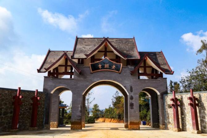 十年来，为何这些茶牢牢占据着我们话语