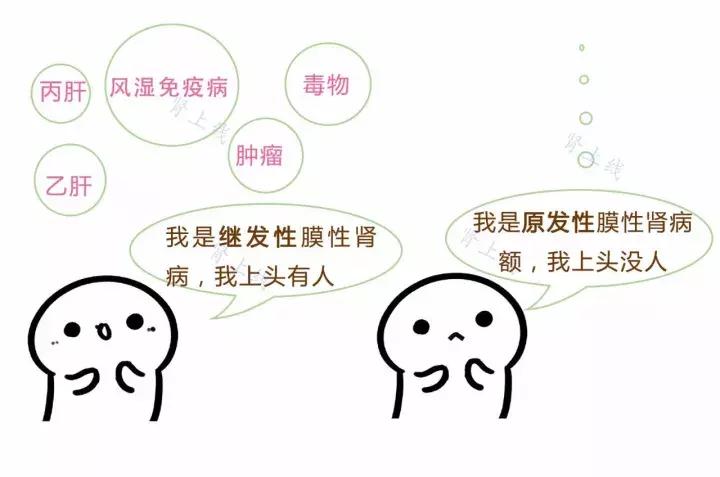 膜性肾病指标正常以后还用吃药吗,膜性肾病能引起什么并发症