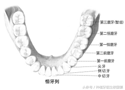 乳牙龋齿掉了只剩牙根了怎么办,儿童乳牙龋齿是拔掉还是根管治疗