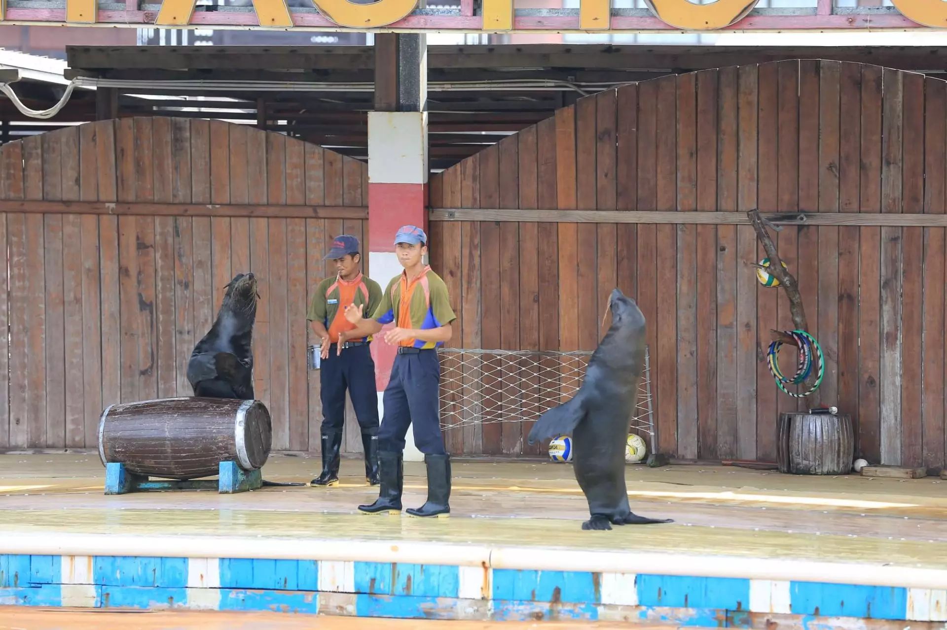 陵水分界洲岛一日游攻略,陵水椰子岛一日游攻略