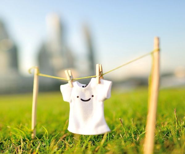 朔风起万物藏是什么意思,立冬朔风起万物藏原文