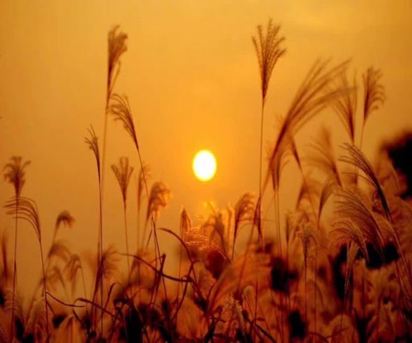 朔风起万物藏是什么意思,立冬朔风起万物藏原文