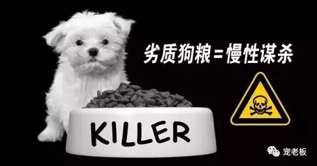 怎么挑选宠物店狗粮呢,宠物狗粮怎么挑选好坏